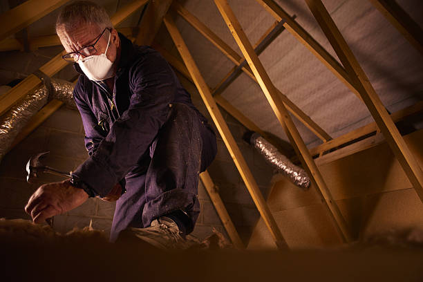 Best Insulation Maintenance and Repair in Pittsfield, IL
